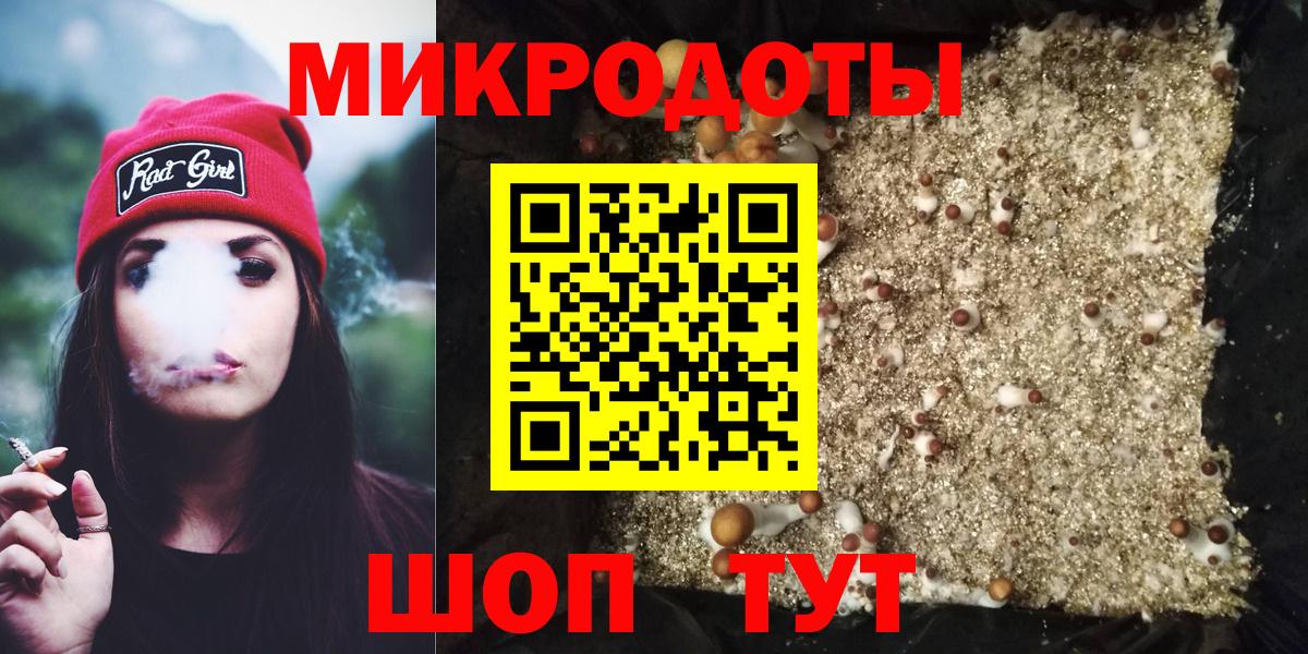 Галлюциногенные грибы Psilocybe Лабинск